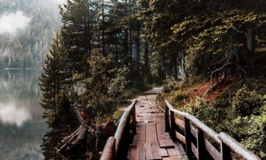 National Park Durmitor – Black Lake – Djurdjevica Tara Bridge tour
